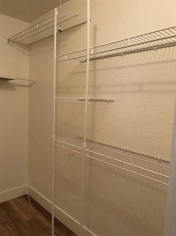 Building Photo - 909 Cripple Creek Dr