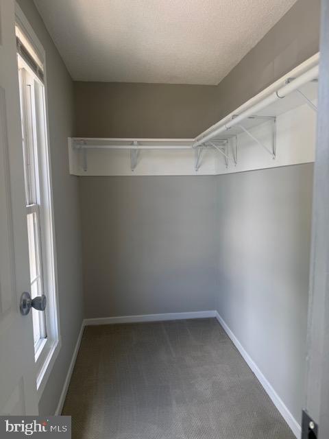 Building Photo - 810 Wide Oak Ct