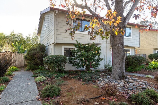 Building Photo - Live Oak Townhome – Completely Renovated & Move-In Ready!