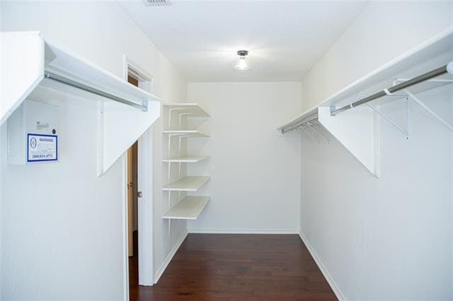 Building Photo - 2201 Driskell Ln