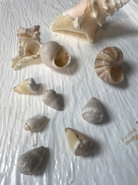 Primary Photo - 307 E Bay Ave