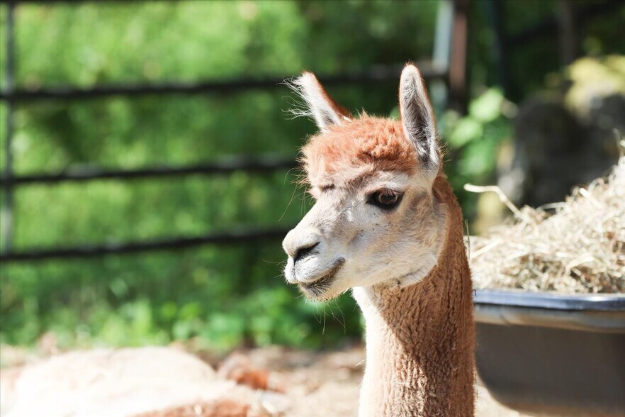 Building Photo - 155 Squash Hollow Rd