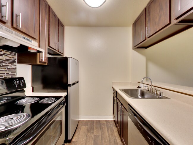 Interior Photo - Timbers