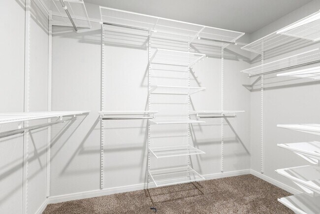 Building Photo - 4 Bedroom/2.5 Bath Paloma Subdivision