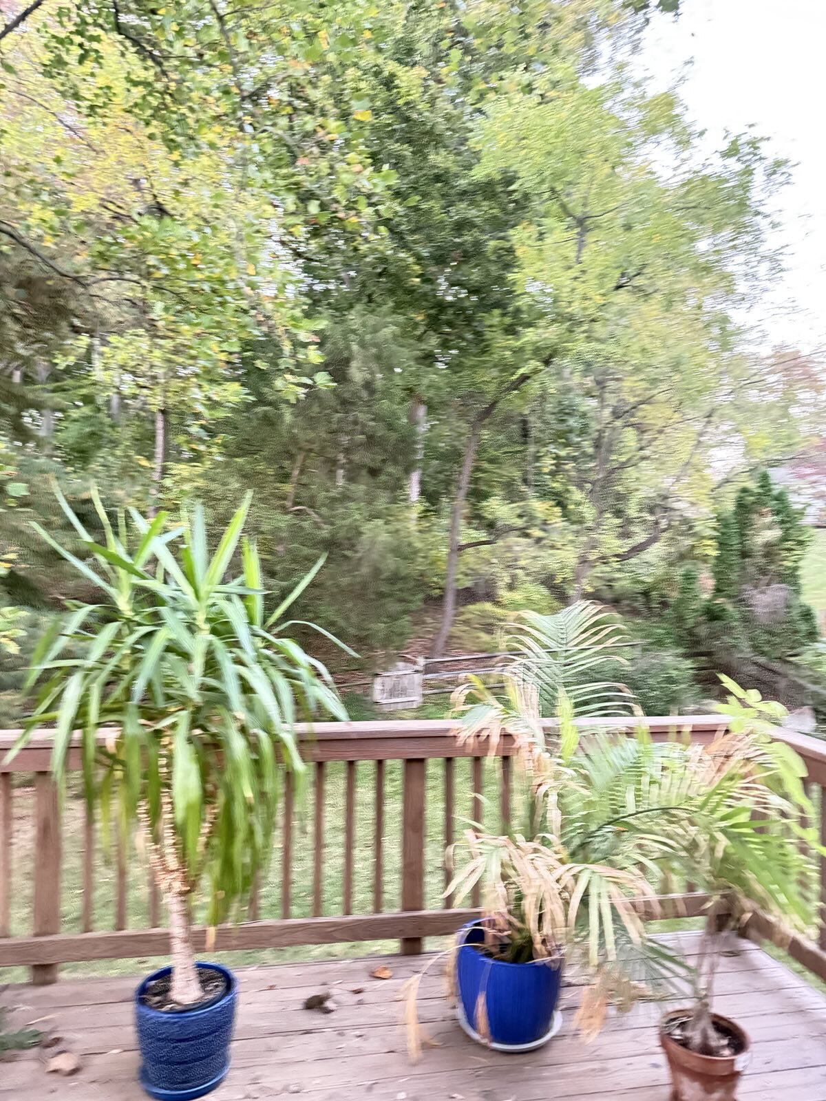 Building Photo - 8856 Youngsea Pl