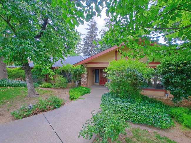 Building Photo - MOVE IN SPECIAL: Half OFF the 1st Month's ...