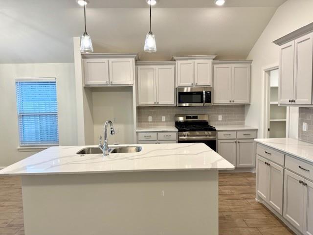 Building Photo - 3220 Pagoda Pead Dr