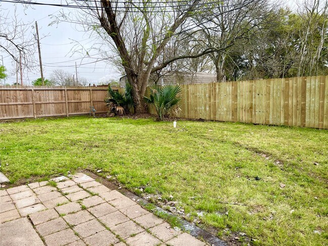 Building Photo - 411 Elaine St