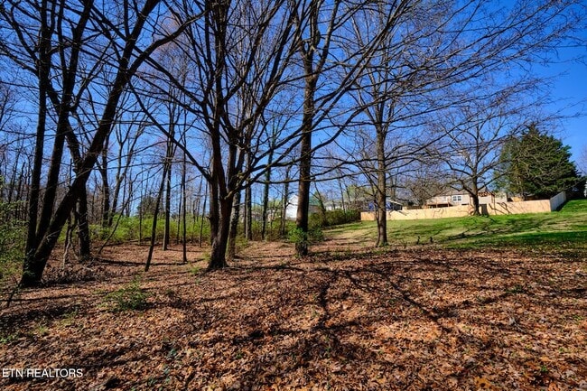 Building Photo - 548 Murray Rd NW