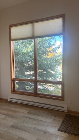 Tall living room windows - 640 Homestead Dr