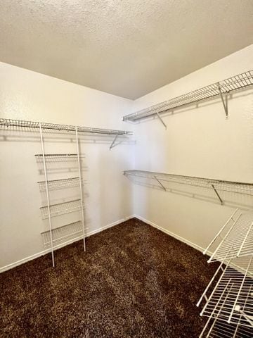 Building Photo - 12752 Tierra Salas Dr