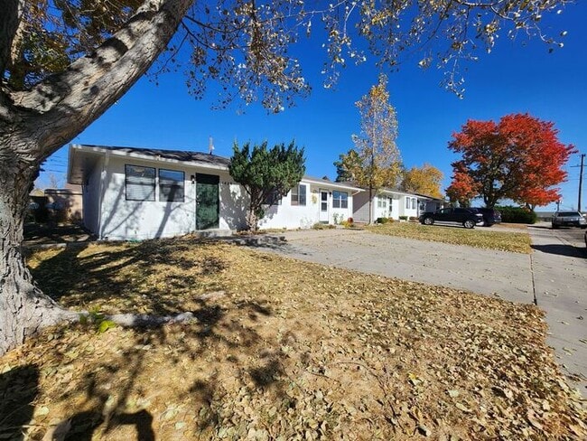 Building Photo - Renovated Cozy 2-Bedroom Duplex | Move In Now – Next Month’s Rent is Waived!