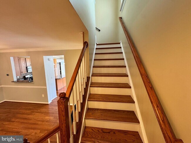 Building Photo - 4955 Chaste Tree Pl