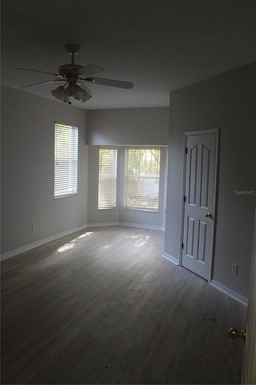 Building Photo - 11737 Carrollwood Cove Dr