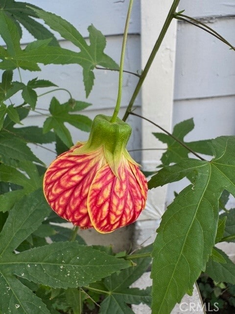 Building Photo - 10833 Arrowood St