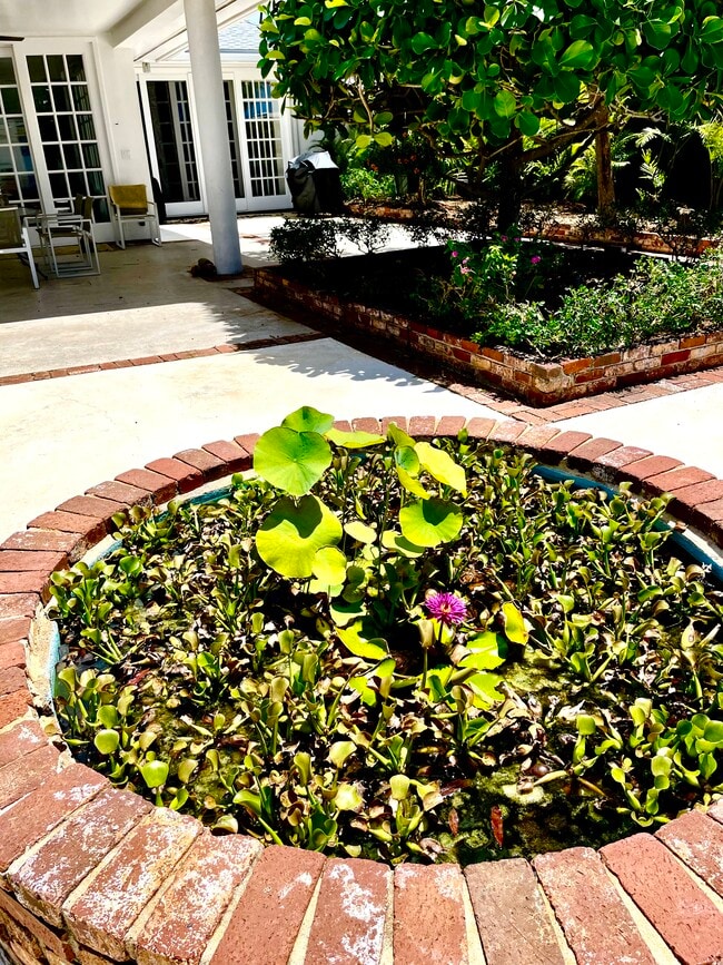 Pond with Water Hyacinth & Lotus flowers - 335 Wailupe Cir