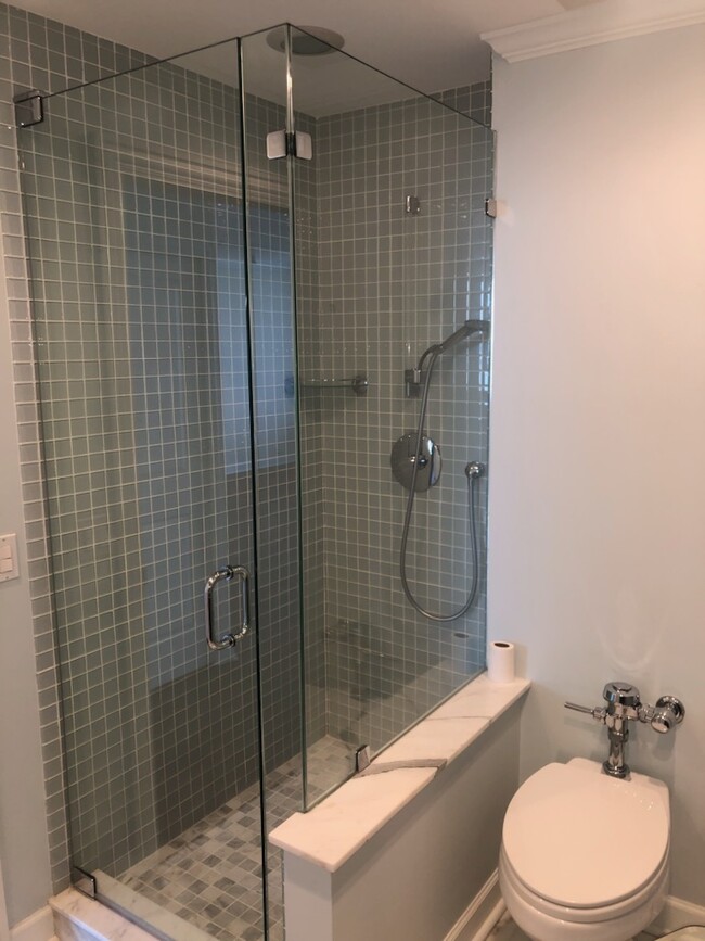 2nd Bath/ shower - 1300 N Lake Shore Dr