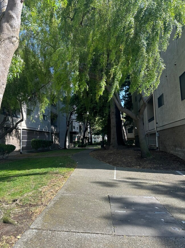 Building Photo - 1256 Stanhope Ln