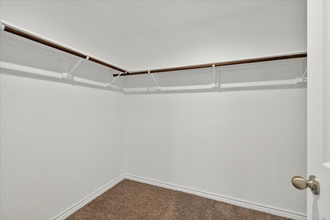 Building Photo - 3909 Shiva Dr