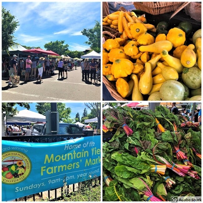 Building Photo - 465 Calderon Ave