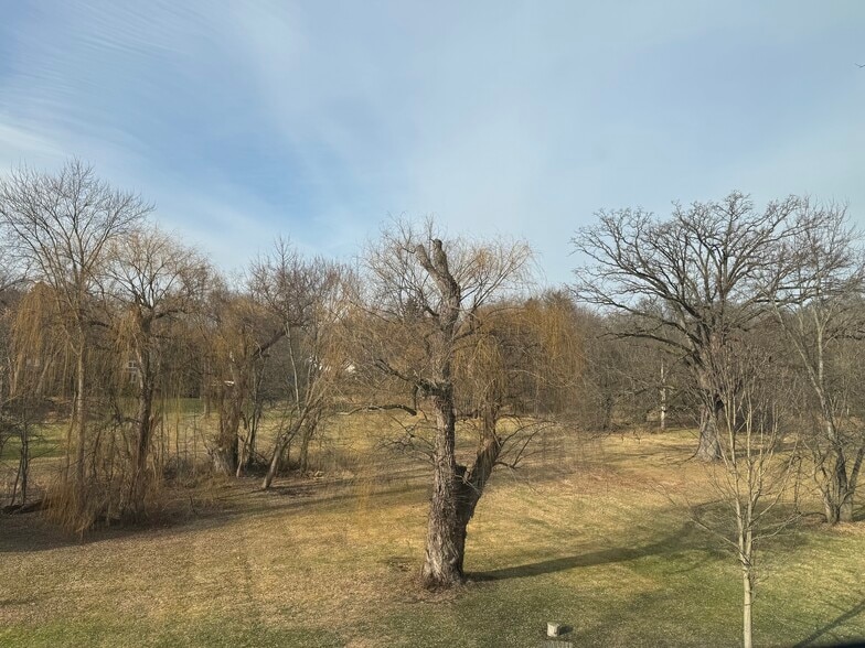 View from Kitchen - 2237 Evergreen Rd