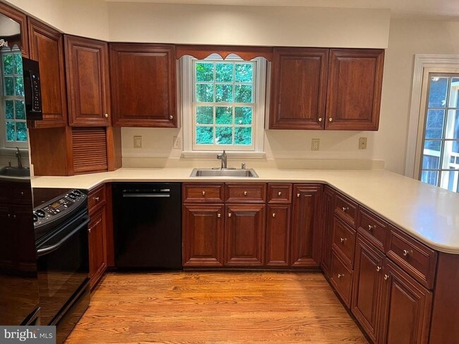 Building Photo - 10101 Alsace Ct