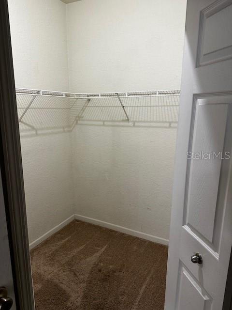 Building Photo - 13016 Mulberry Park Dr