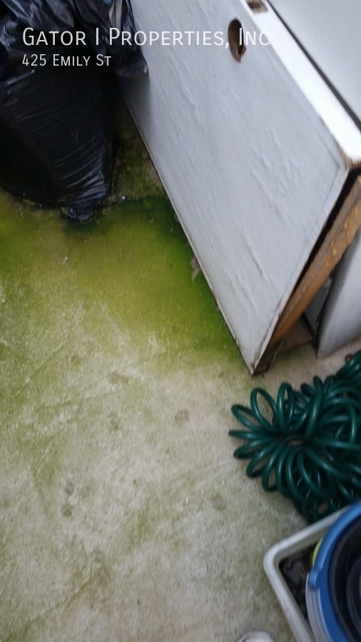 Building Photo - 425 Emily St