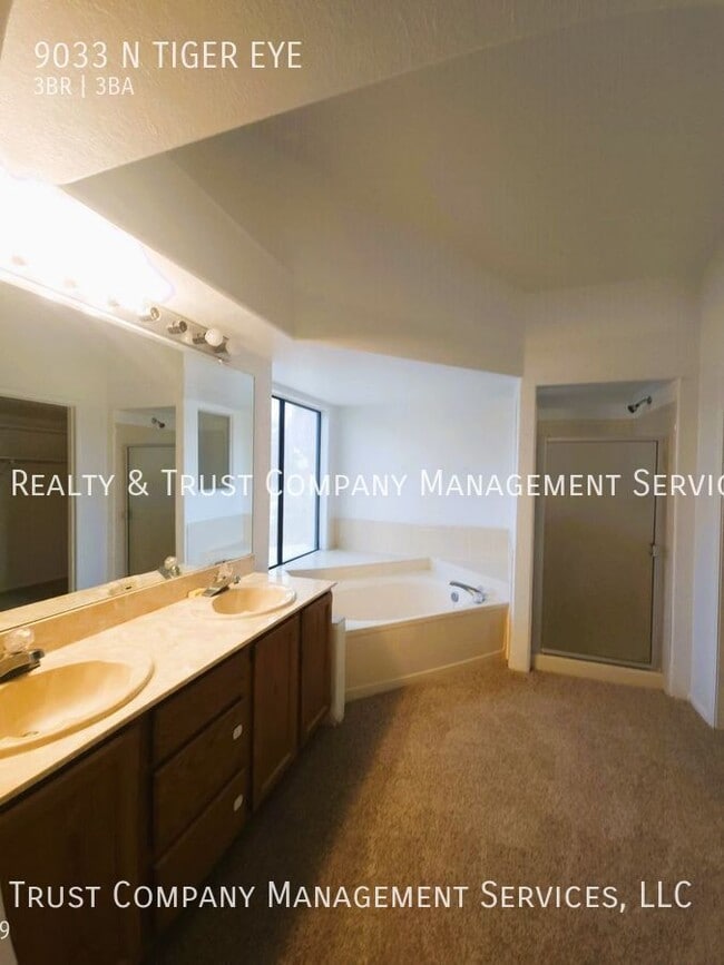 Building Photo - 9033 N Tiger Eye Way