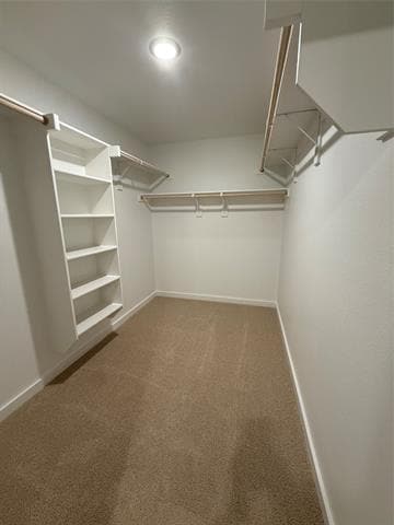 Building Photo - 718 Tidal Dr