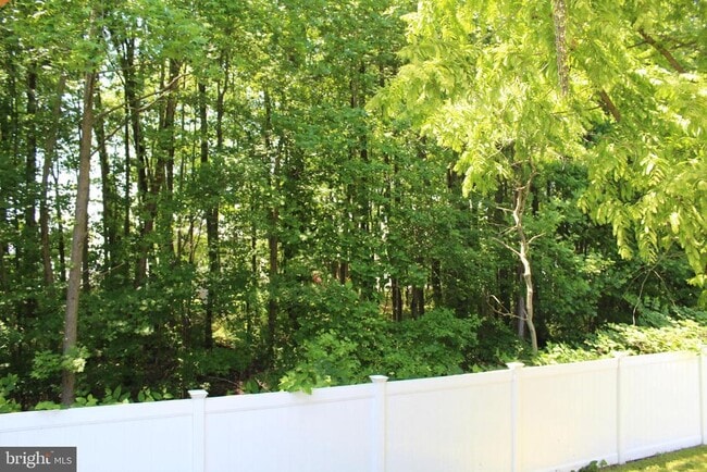 Building Photo - 14 Olivia Ct