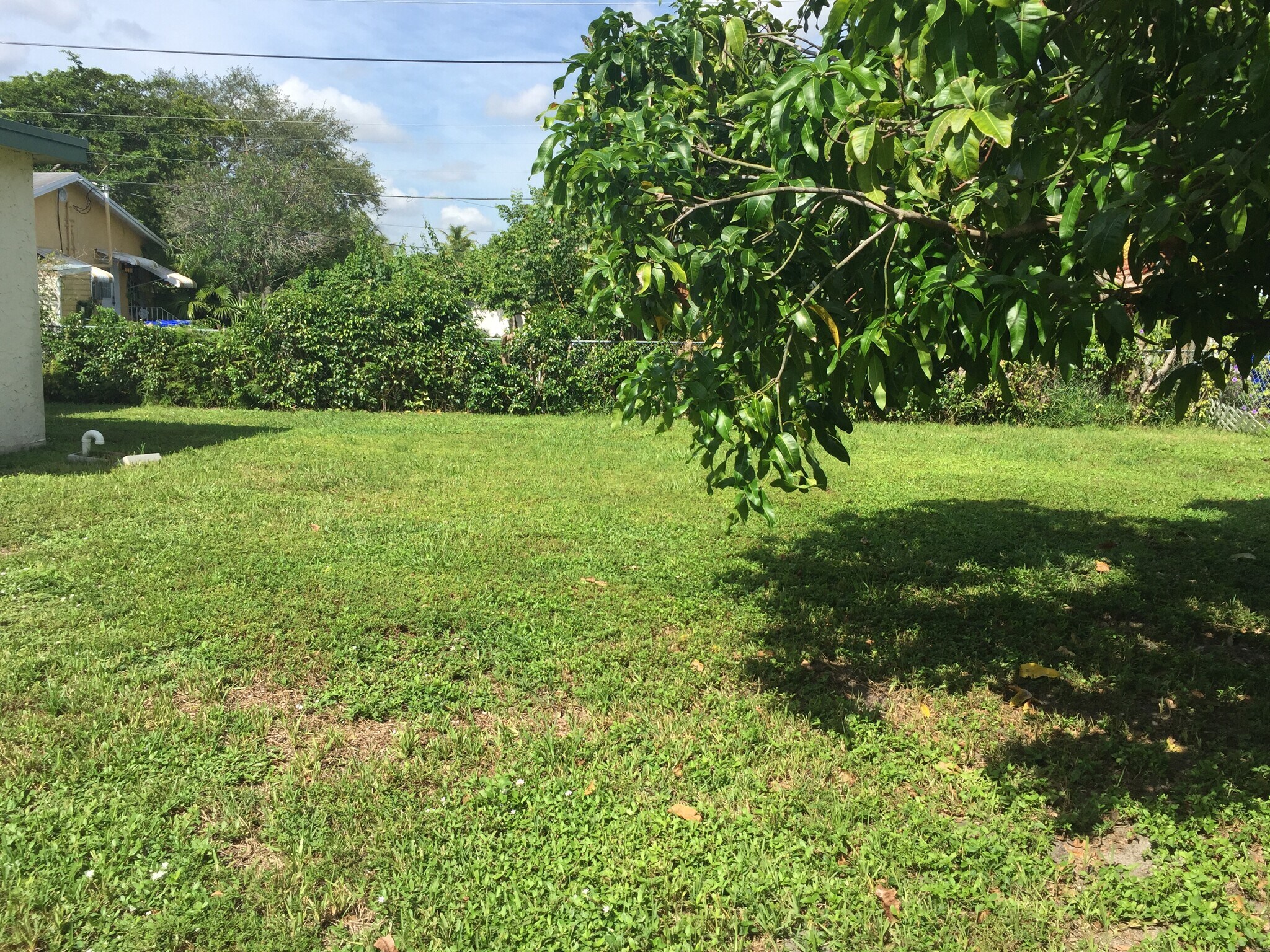 Back Yard - 2341 Roosevelt St