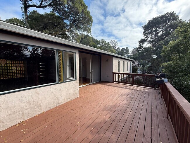 Building Photo - UNIQUE THREE BEDROOM TWO BATH MODERNIST MILL VALLEY HOME