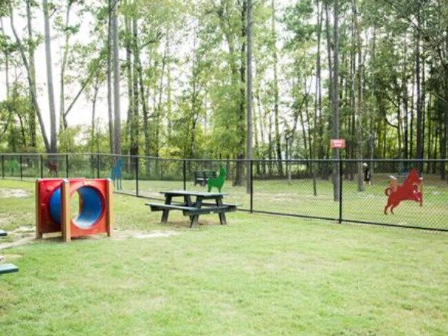 Building Photo - 108 Salvia Star Ct