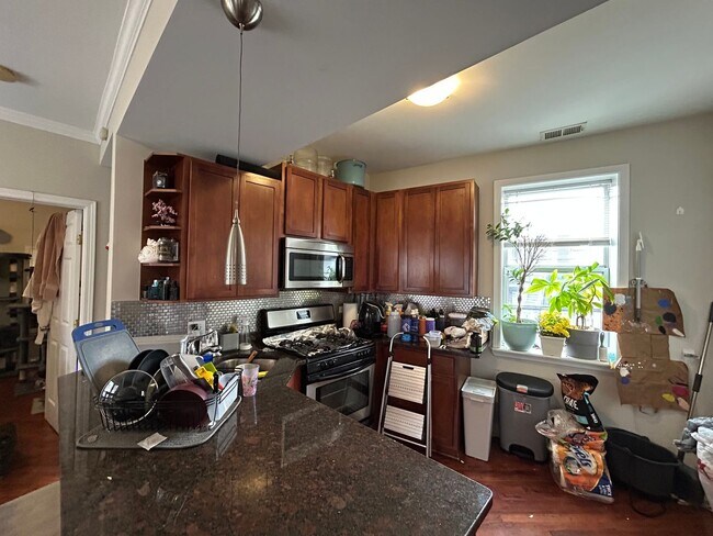 Building Photo - Beautiful 1 Bed / 1 Bath Apartment Available July 1st in Rogers Park!