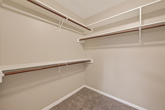 Building Photo - 11923 Briar Forest Dr