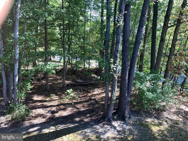 Building Photo - 6463 Honey Tree Ct