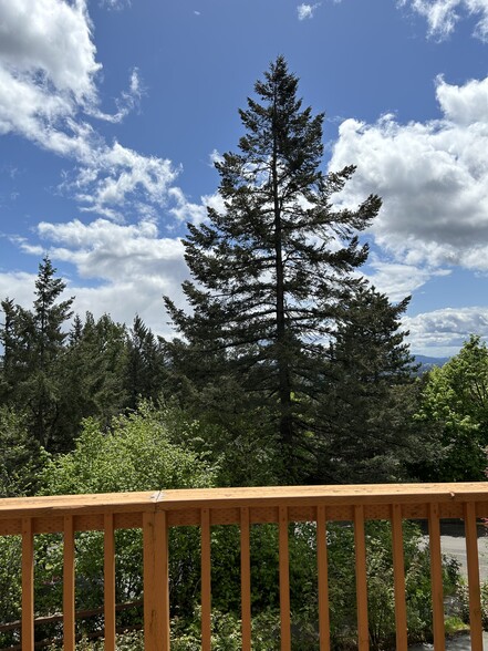 Building Photo - 304 Cervantes