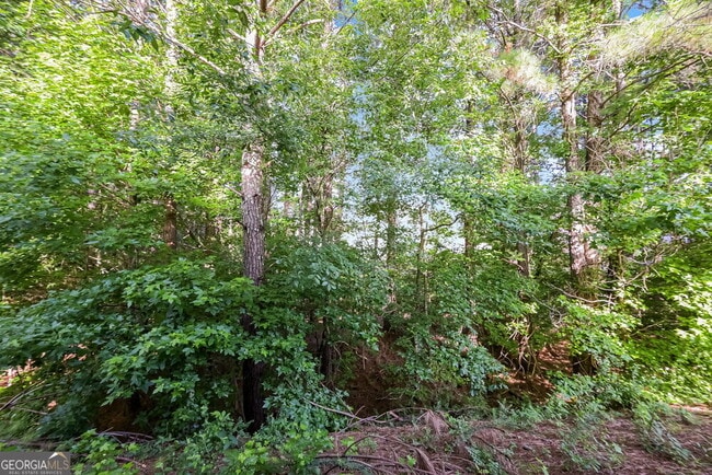Building Photo - 6755 Hill Rock Ln