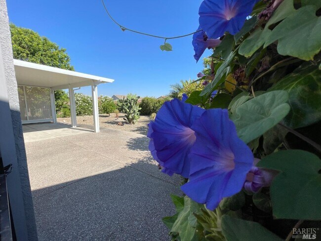 Building Photo - 206 Cedar Ridge Dr