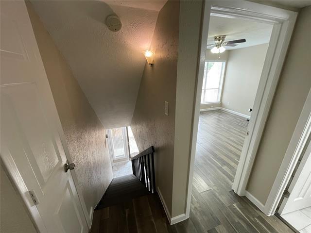 Building Photo - 3121 Park Ln