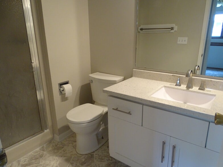 lower level bathroom - 4548 50th St