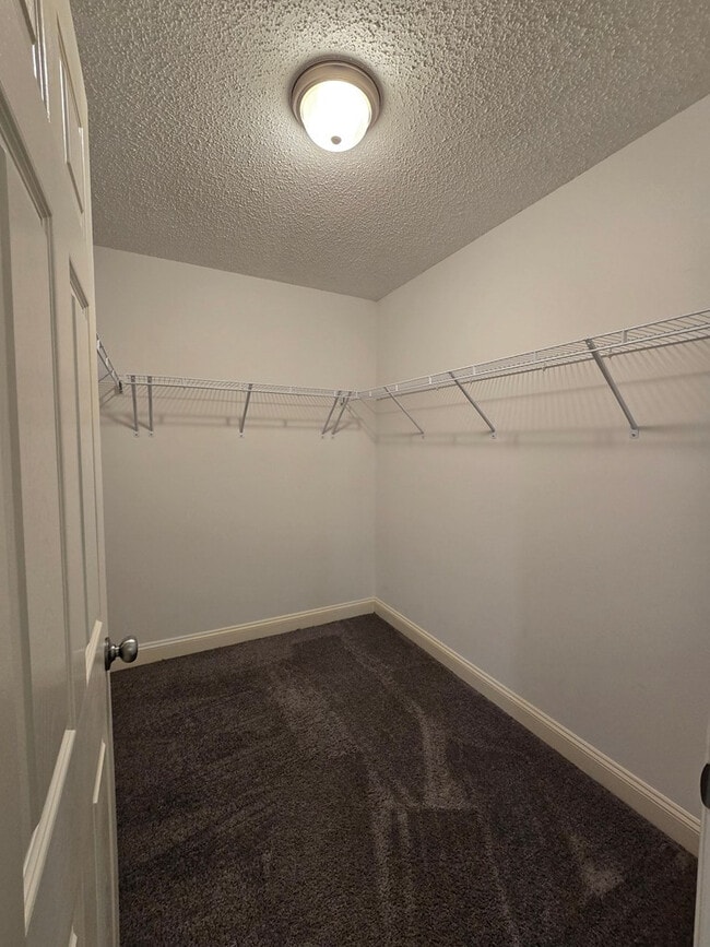 Building Photo - 982 Westfield Ct