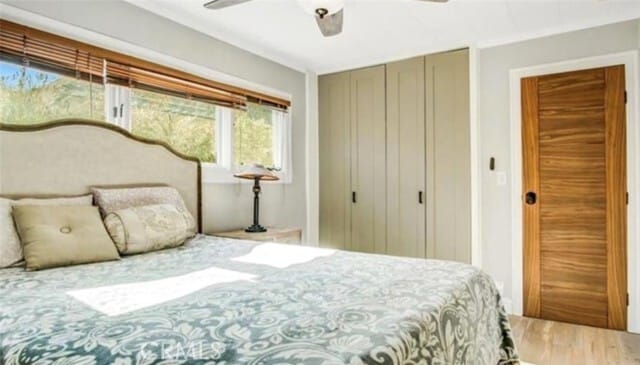 Building Photo - 329 S Grand St