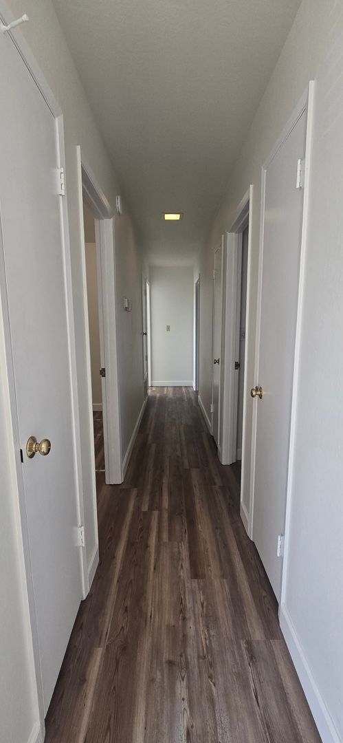 Building Photo - DelMonte