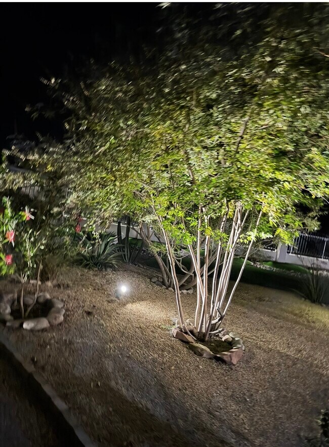 Building Photo - 19238 E Starflower Dr