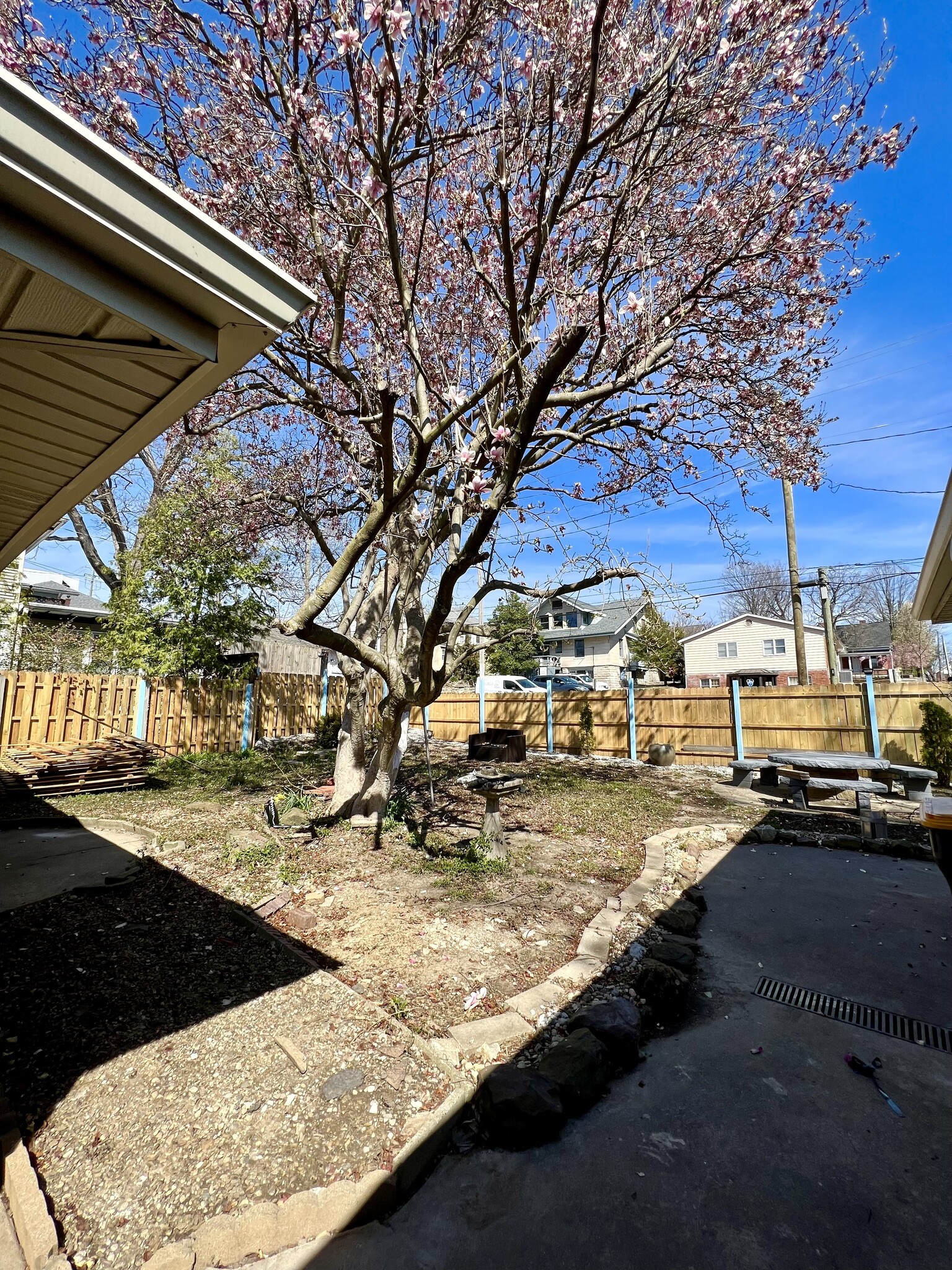 backyard - 614 N College Ave