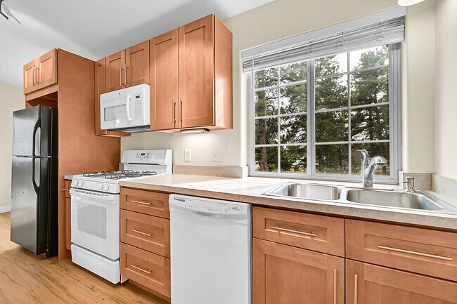 Building Photo - 50 Spruce Dr