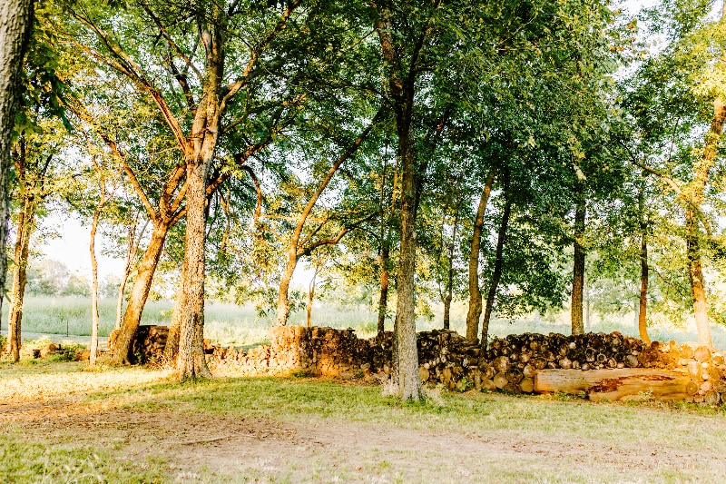 Building Photo - 9037 N Mem Dr