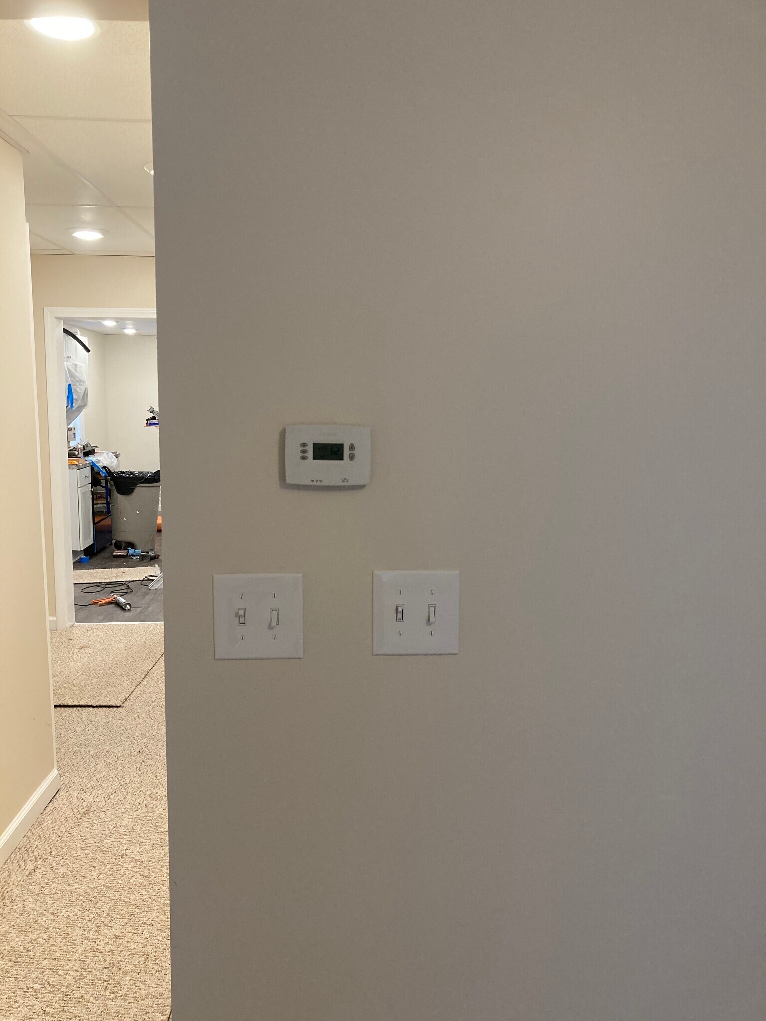 Hall view - 157 Hudson Ave
